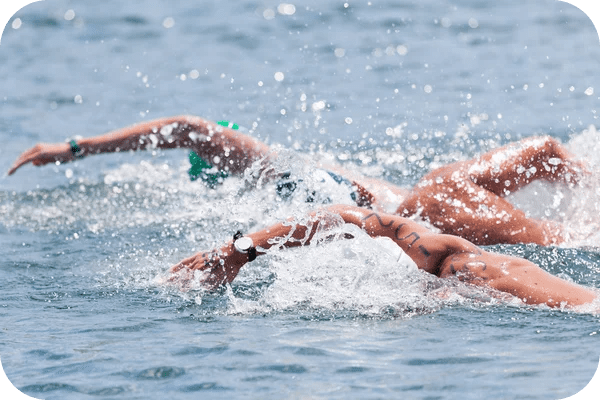 Section Natation en Eau libre Nos activités Swim Academy Nîmoise