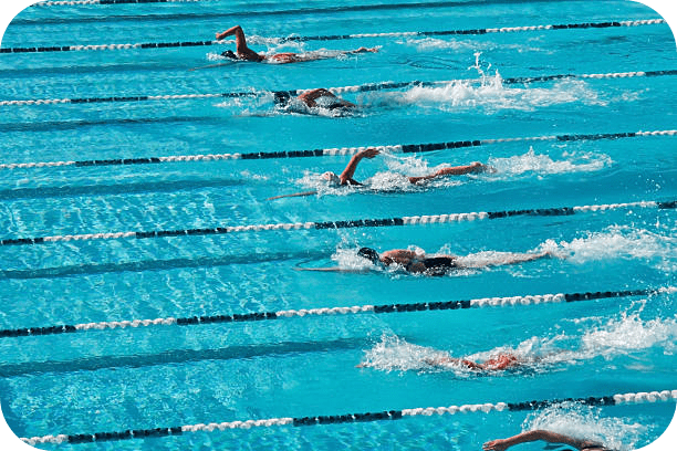 Section Compétition Maîtres Nos activités Swim Academy Nîmoise