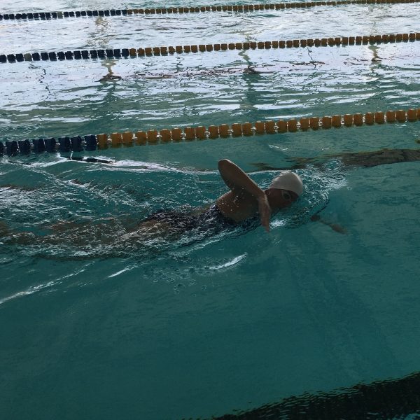 Nage Libre 2 Section Compétition Maîtres Swim Academy Nîmoise