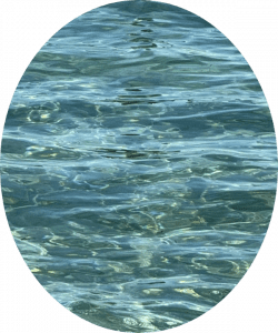 Mer 2 Section Eau Libre Swim Academy Nîmoise