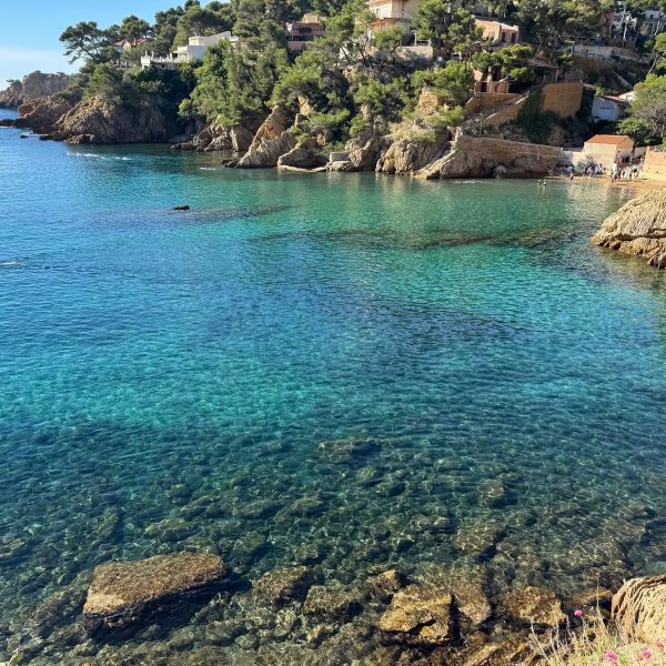 Cassis VF