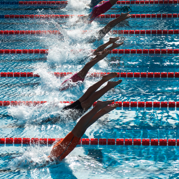 plongeon